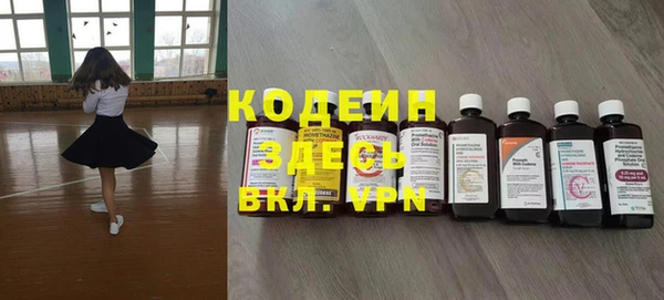 шишки Абаза