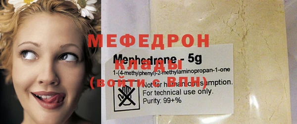 шишки Абаза