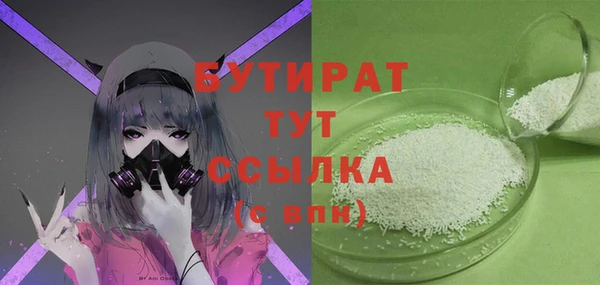 шишки Абаза