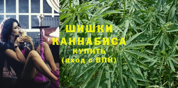 PSILOCYBIN Алексеевка