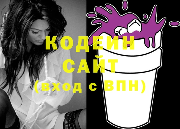 шишки Абаза