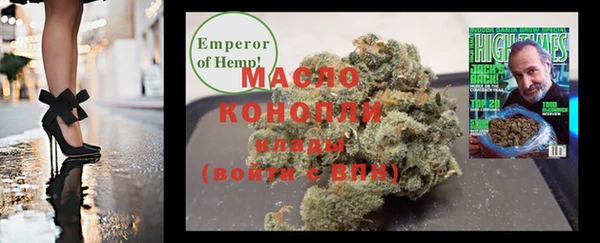 шишки Абаза