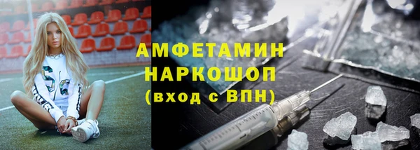 шишки Абаза