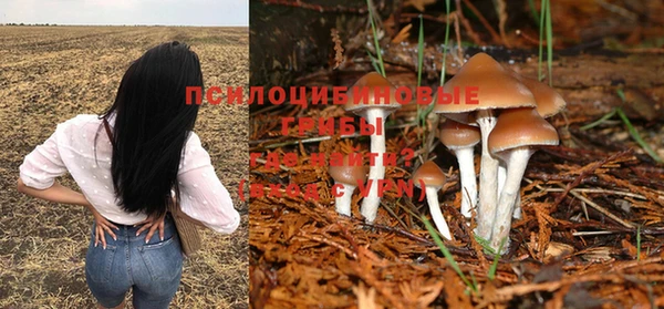 PSILOCYBIN Алексеевка